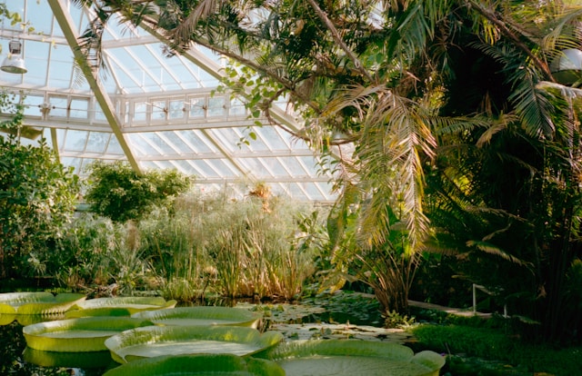 Garden & Outdoor