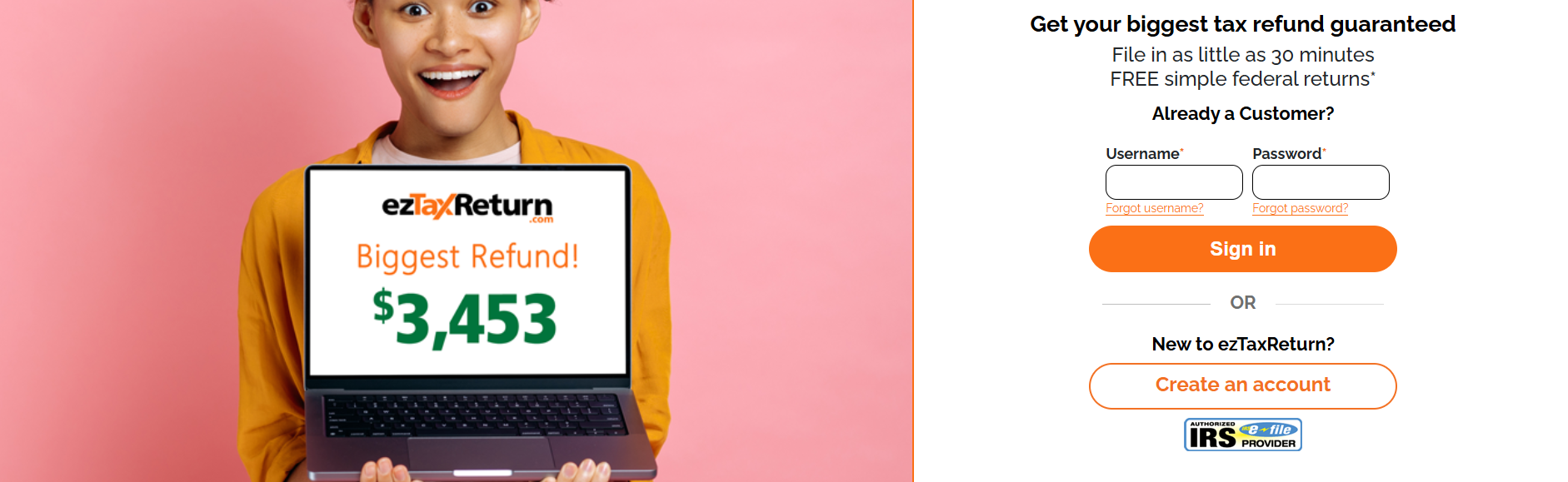 ezTaxReturn banner