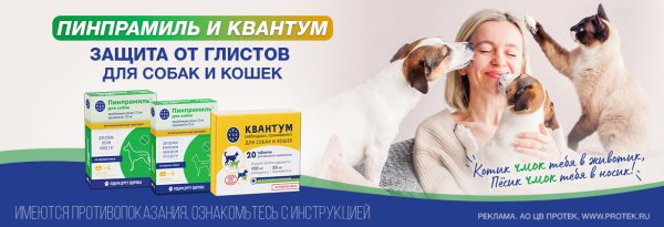 zdravcity.ru banner